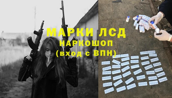 индика Алзамай