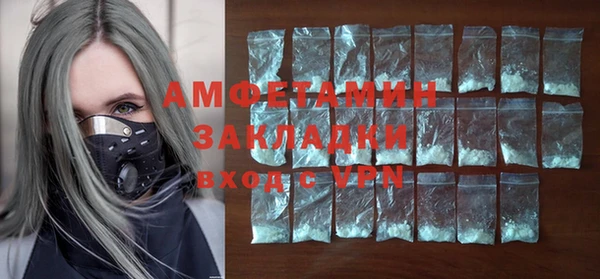 индика Алзамай