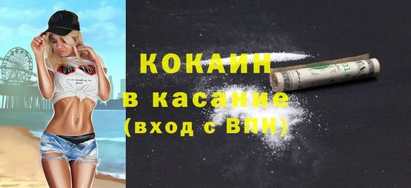 индика Алзамай