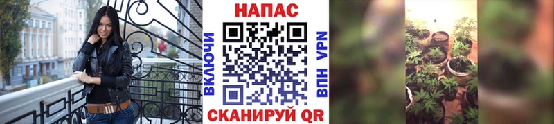 Шишки марихуана Ganja  купить  цена  Заинск 